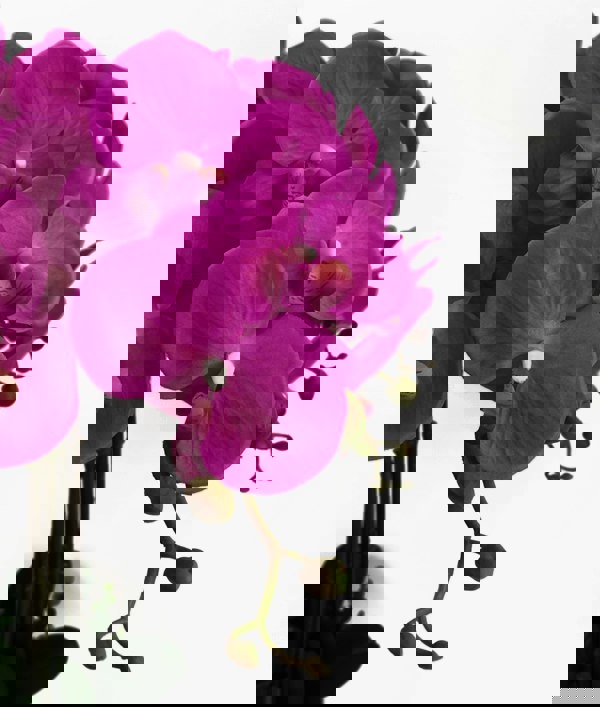 Leaf 85cm Artificial Deluxe XL Orchid - Dark Pink