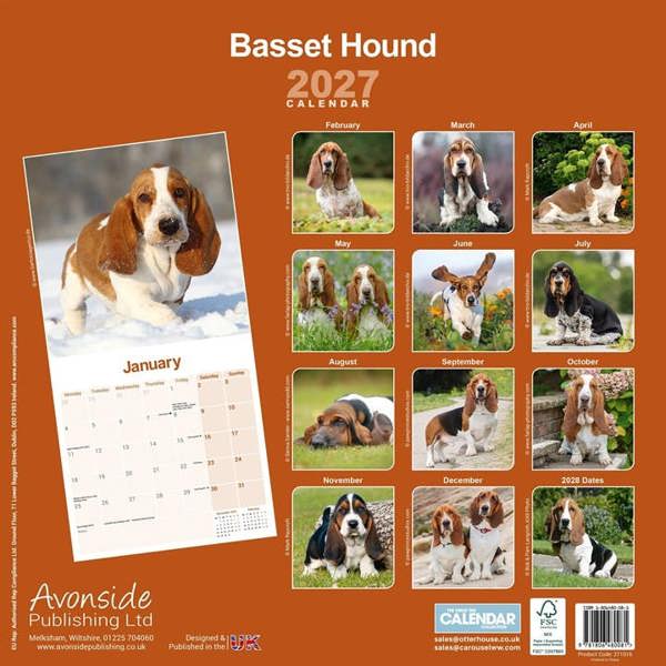 Basset Hound Calendar 2027, Wall Calendars, Month To View, Dogs, Gift