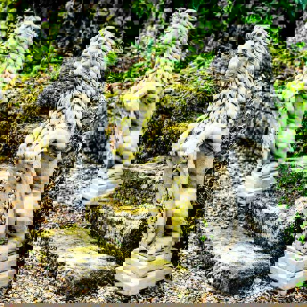 Pair of Large Garden Gateway Lion Statues with shields