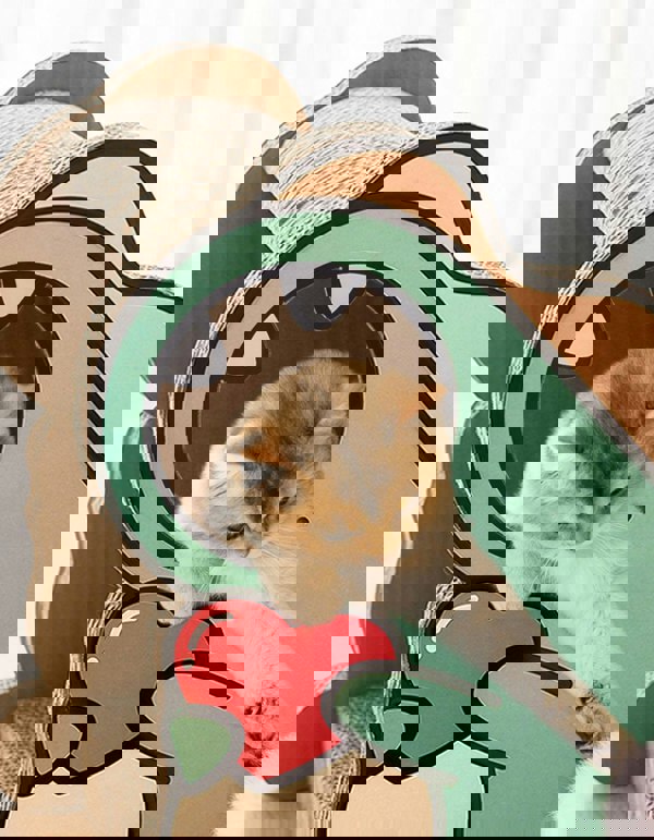 CL21 Cat Scratching Post, Climbing toys, Cardboard, Cat Scratcher-Weilai concept-Weilai Concept