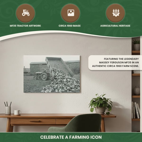 Massey Ferguson MF35 Tractor & Trailer Tipping Turnips Canvas Print, Circa 1960 Black and White Farm Scene, 60 x 40 cm