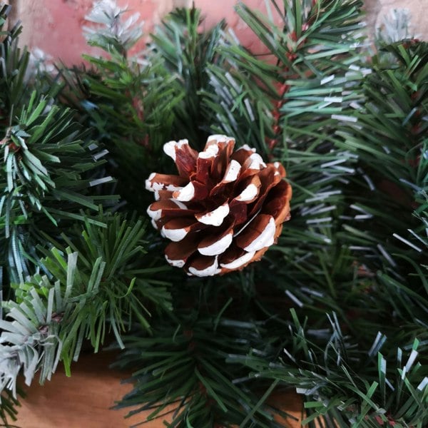 Samuel Alexander 270cm x 25cm Samuel Alexander Snow King Fir Christmas Garland with Pine Cones