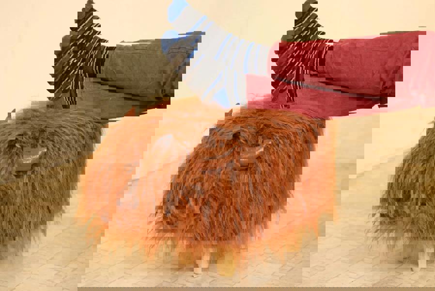 Rumi the Highland Cow Faux Fur Footstool – Cosy Decorative Footrest