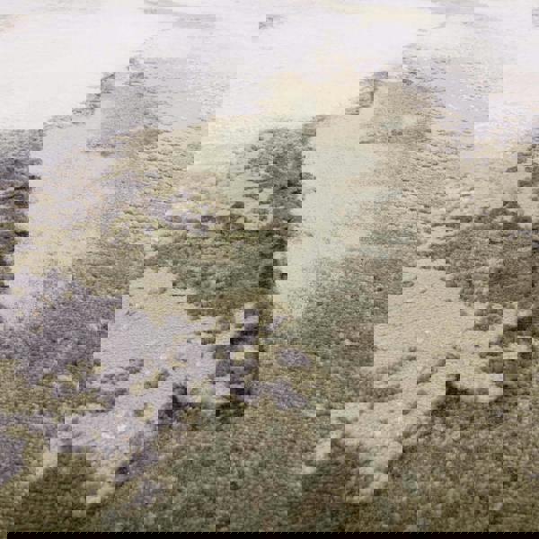 Asiatic Stellar ST04 Abstract Green Rug