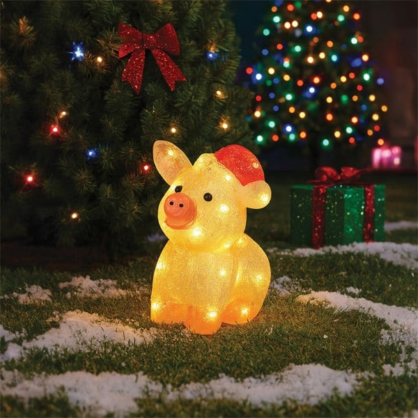 Xmas Haus Acrylic Festive Christmas LED Pig