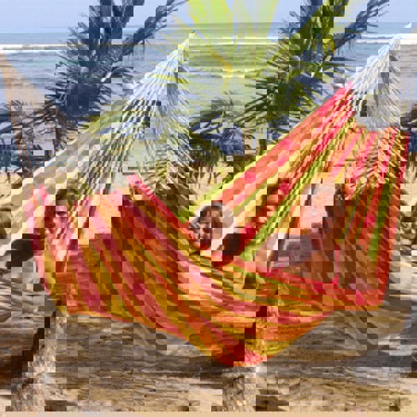 Amazonas Barbados Papaya Hammock