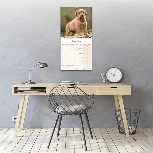Fox Red Labrador Retriever Calendar 2027, Wall Calendars, Month To View, Dogs, Gift
