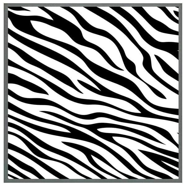 Benjamin Tate Design Zebra print (Picutre Frame)