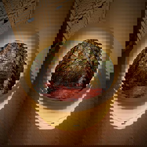 tickit Forest Discovery Play Mat