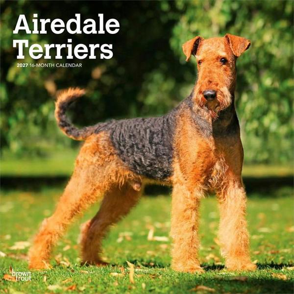 Airedale Terriers Calendar 2027, Wall Calendars, Month To View, Dogs, Gift