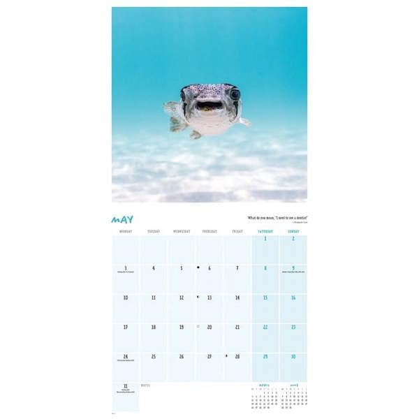 Comedy Wildlife Photography Awards Calendar 2027, Wall Calendars, Month To View, Humour, Gift