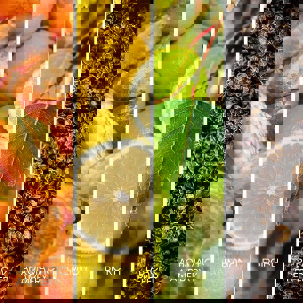 Sapil Intense Noir Eau de Parfum 100ml with fragrance notes