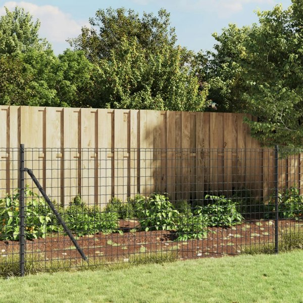 Berkfield Wire Mesh Fence with Spike Anchors Anthracite 1x25 m