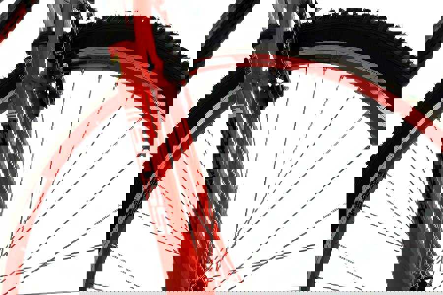 Boss Venom  Mountain Bike