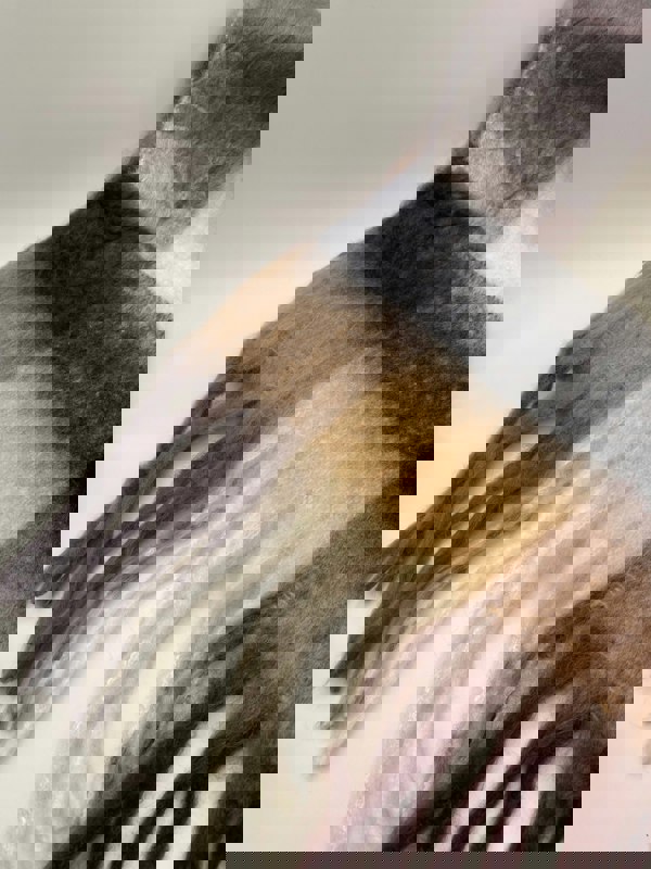 SVNX Soft Chunky Checked Scarf with Tassels - Muted Browns