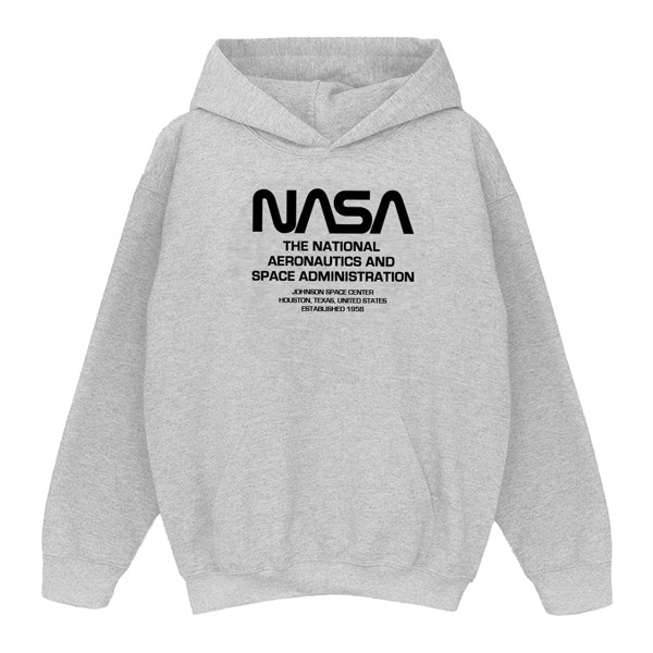 NASA Boys Worm Blurb Hoodie - Sports Grey