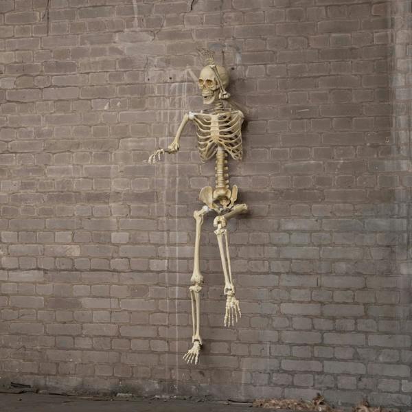 Samuel Alexander 5ft (1.52m) Posable Full Body Halloween Skeleton Decoration with Movable Joints