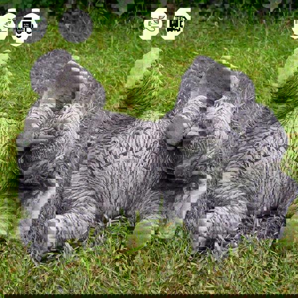 Amusing Welcome Elephant Garden Statue