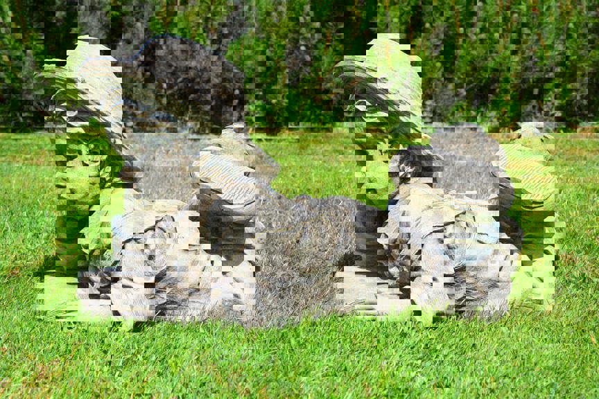 Fabulous Set of Three Children Garden Ornament