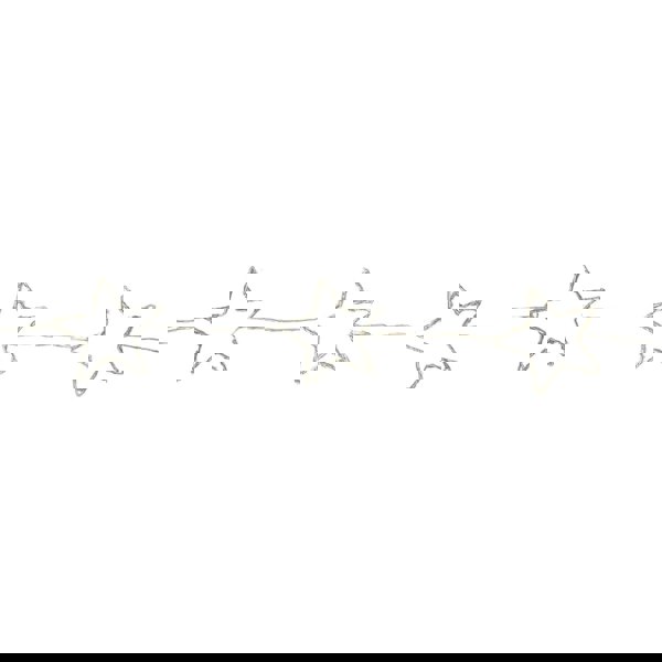 Samuel Alexander 2.6m Set of 10 Star Curtain Lights 227 Rainbow LEDs Microbrights String Lights