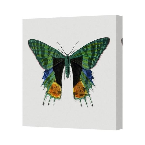 Benjamin Tate Design Contemporary Green Butterfly Canvas Art Print UK Handmade Wall Decor