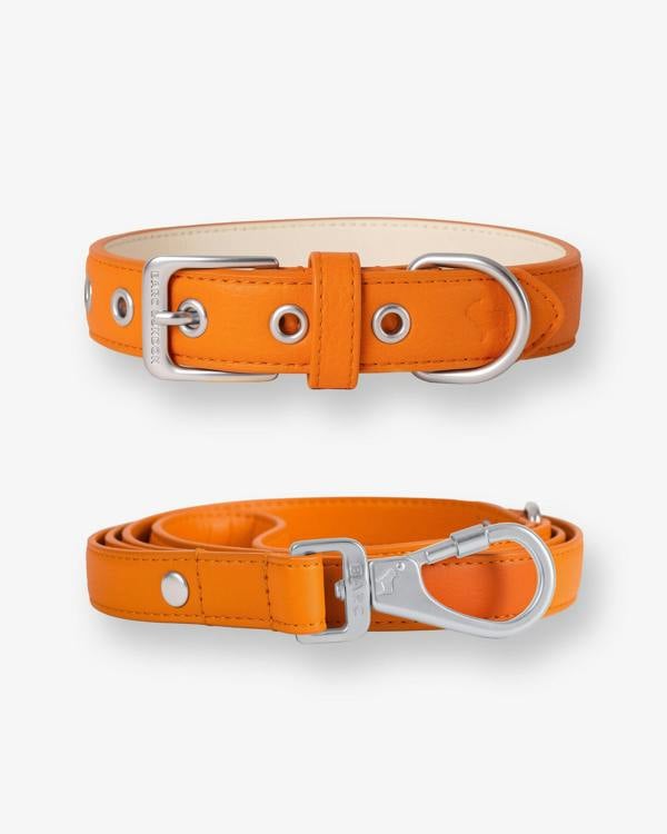 Barc London Mandarin Orange Dog Collar & Lead Set