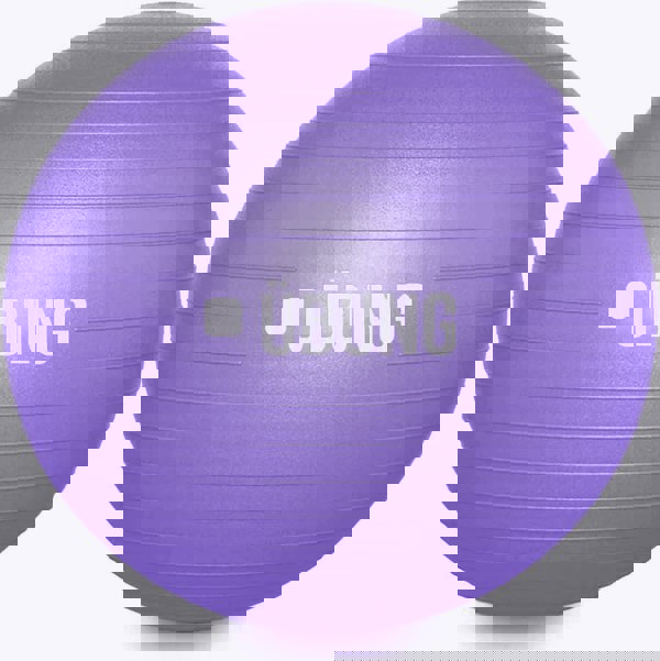 UBUNG Anti Burst Exercise Fitness Ball 65cm Swiss Ball with Pump Non Slip Light Purple