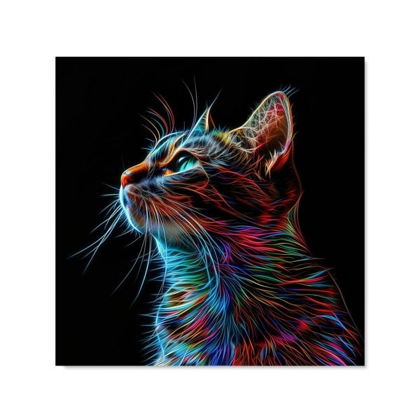 Warren Reed - Designer Electric Cat Whiskers Kitchen Splashback