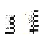 Amber & Sandalwood is a fragrance that encapsulates the mystical and exotic essence of Egypt, transporting you through its captivating aroma of sandalwood, cedar and bergamot. This fragrance is a symphony of citrus, woody and spicy notes that evoke the majesty and mystery of the ancient Egyptian lands.