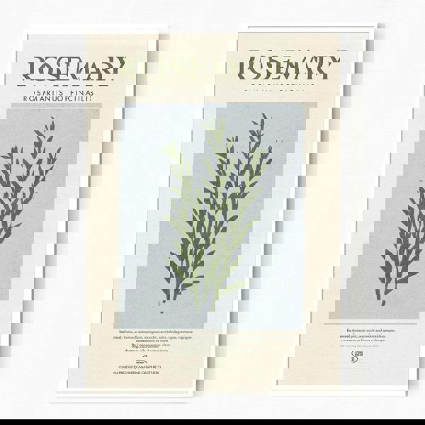 Reign&Hail Rosemary - Herb Print