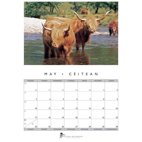 Michael MacGregor, Highland Cattle Calendar 2027, Wall Calendars, Month To View, Animals, Gift