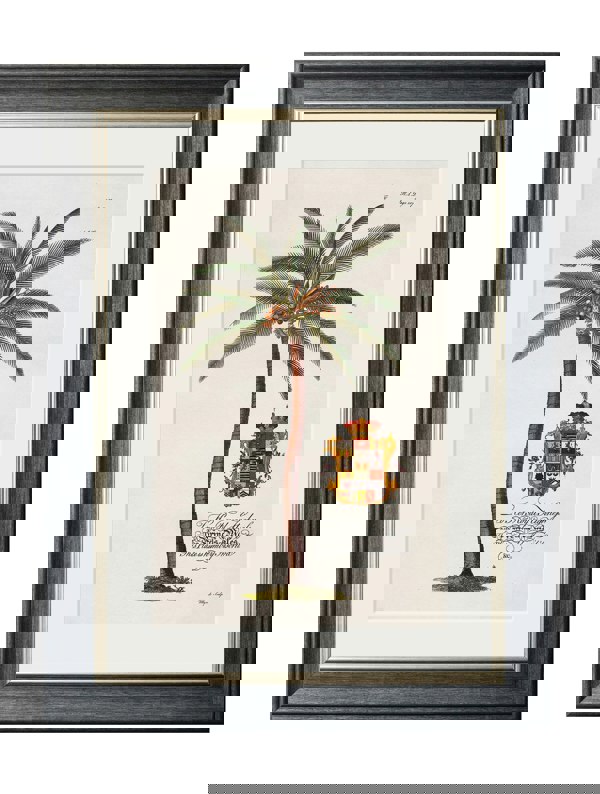 Exceptional Art Studies of Palms