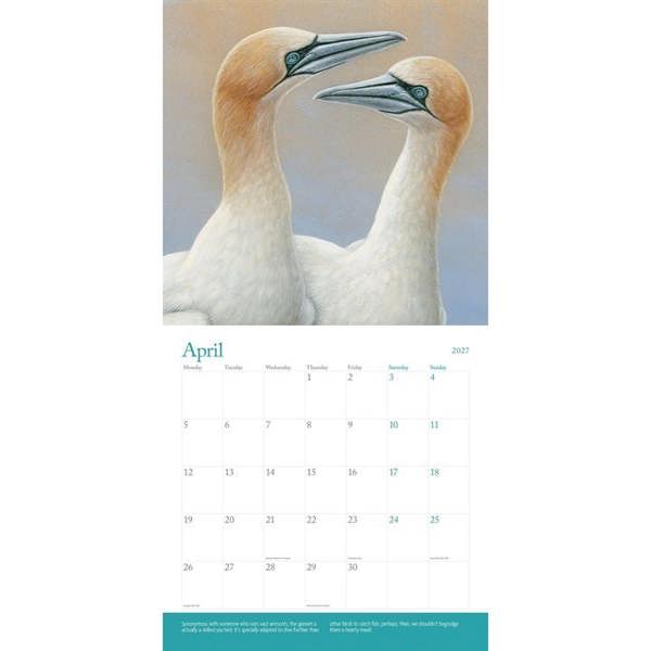 Robert Fuller, British Wildlife In Art Calendar 2027, Wall Calendars, Month To View, Animals, Gift