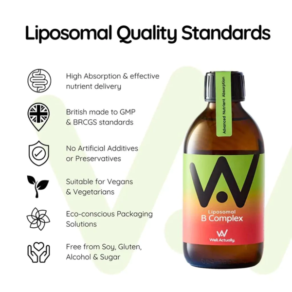 Well Actually Vitamin B Complex - Liposomal Liquid High Absorption 250ml