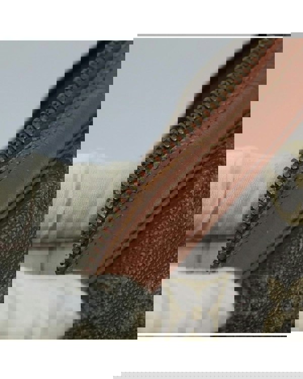 205662084.jpg