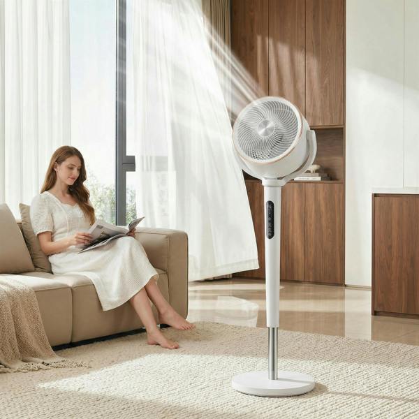 Air Circulator Fan