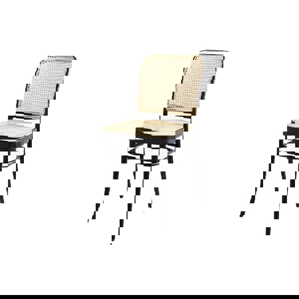 Paris G04 Rattan Dining Chair, Walnut-Weilai Concept-Weilai Concept