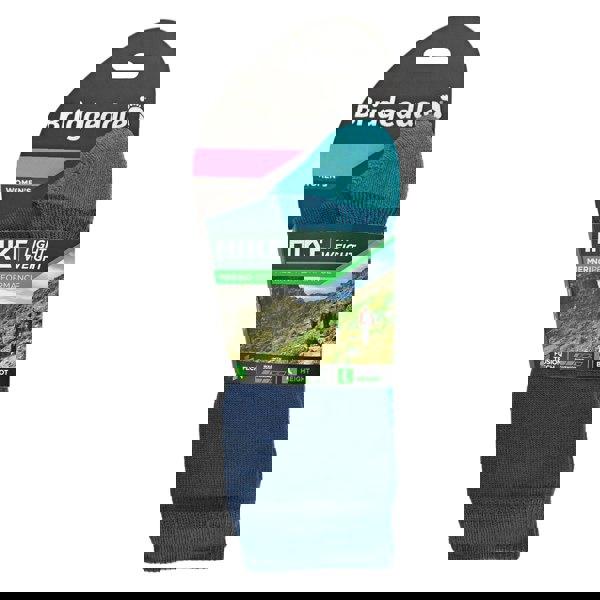 t4option1_2