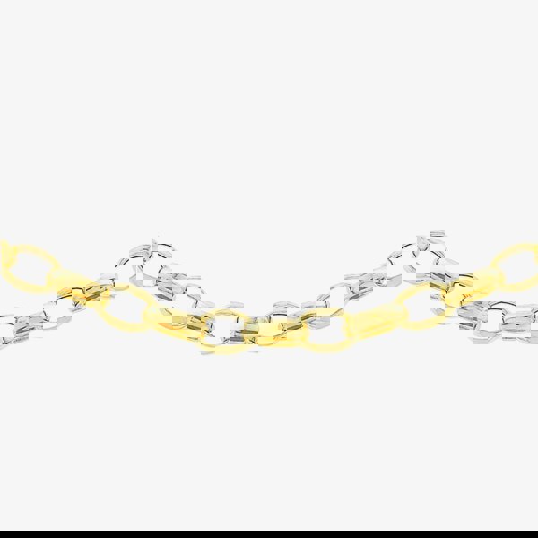 T. H. Baker 9ct Yellow Gold Oval Belcher Chain 1.14.5854