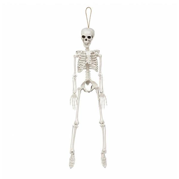 Samuel Alexander 3ft (90cm) Posable Full Body Halloween Skeleton Decoration with Movable Joints