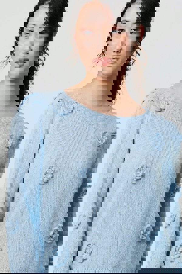 Blue | Floral Embroidered Cropped Jumper
