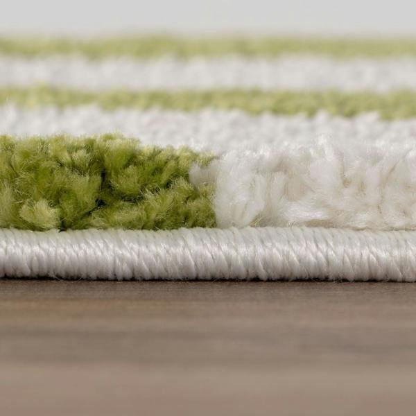 Close-up of a green and white striped rug on a wooden floor.