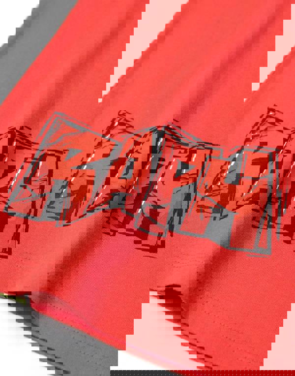 Teenage Mutant Ninja Turtles Boys Red Raph Short Sleeved T-Shirt