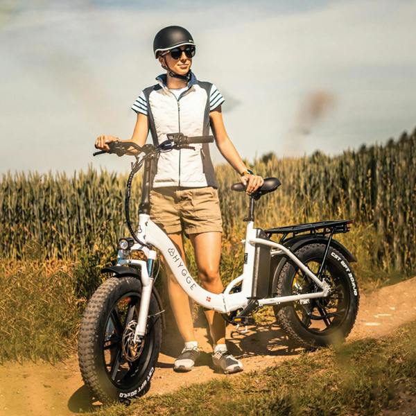 Hygge Bikes Vester Step 2026 - Folding Fat Tyre E-Bike 48V 14Ah - Heron White