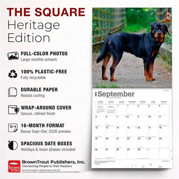 Rottweilers Calendar 2027, Wall Calendars, Month To View, Dogs, Gift