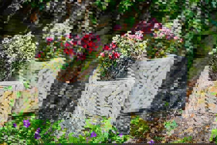 Celtic style Birdbath and Planters – Set