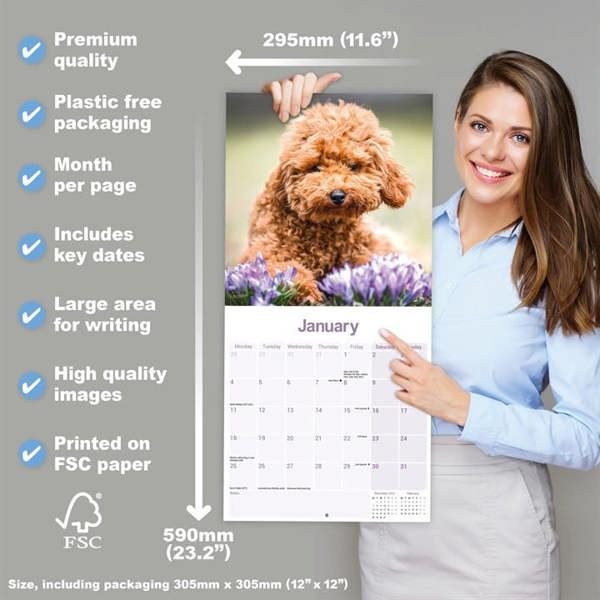 Toy & Miniature Poodle Calendar 2027, Wall Calendars, Month To View, Dogs, Gift