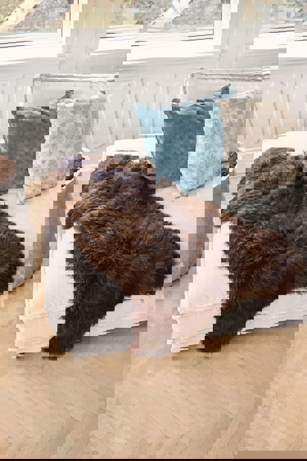 UK Sheepskin | Short Wool | 90-100 cm Natural Dark Brown