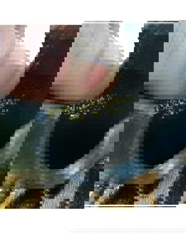 172939092.jpg