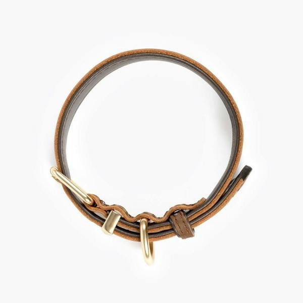 EzyDog Oxford Leather Classic Dog Collar in Brown